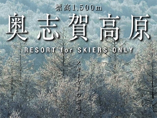 スノーボード天国